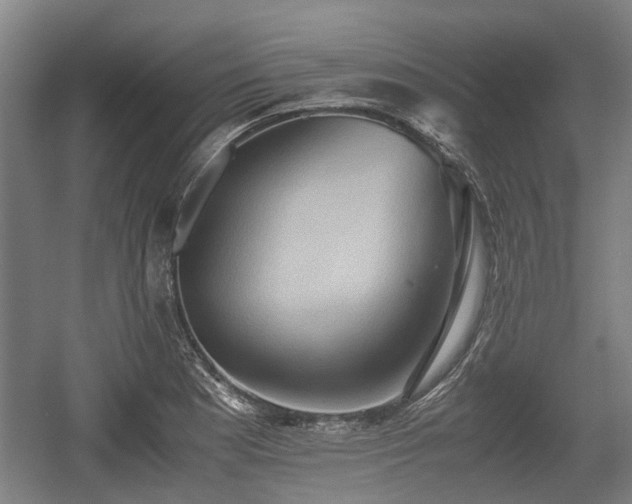 X0000057041177200509120812