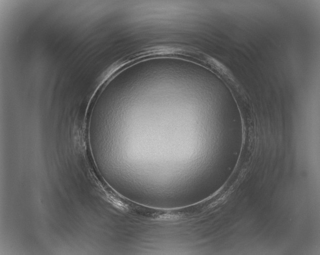 X0000057041178200509120812