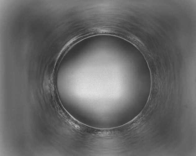 X0000057041182200509120812