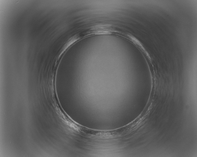 X0000057041194200509120812
