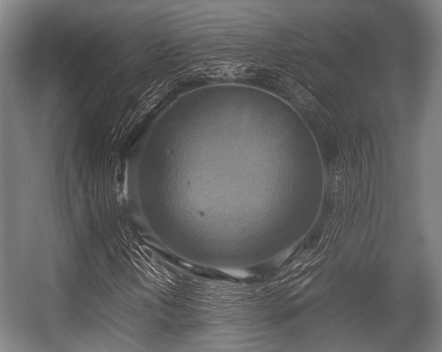 X0000057041202200509120811