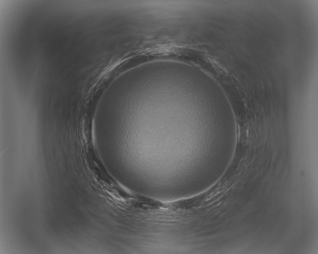 X0000057041206200509120811
