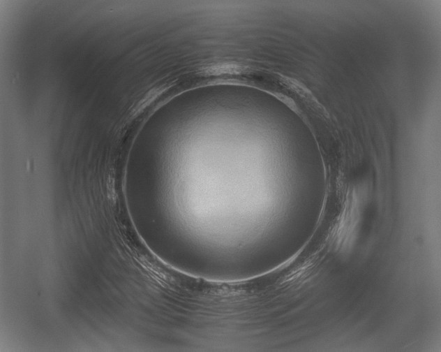 X0000057041209200509120811