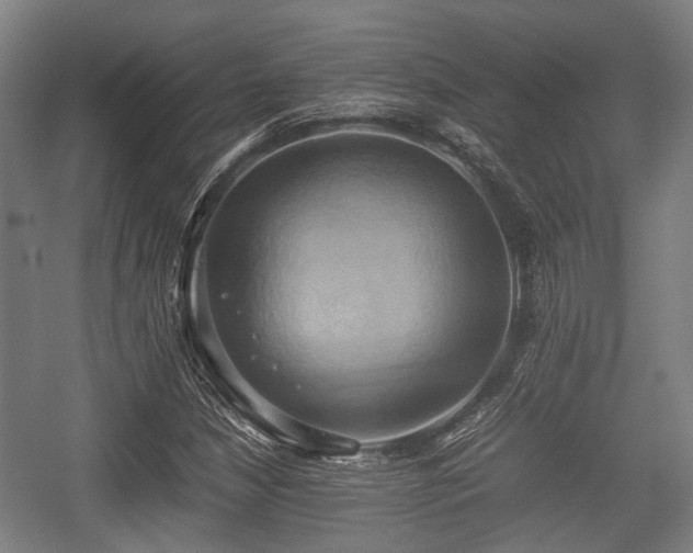 X0000057041210200509120811
