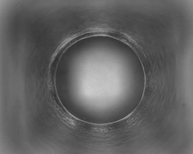 X0000057041215200509120811