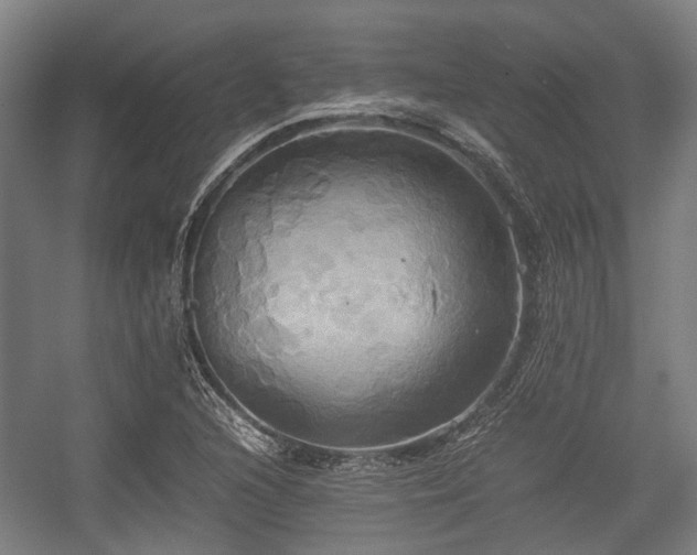 X0000057041216200509120811