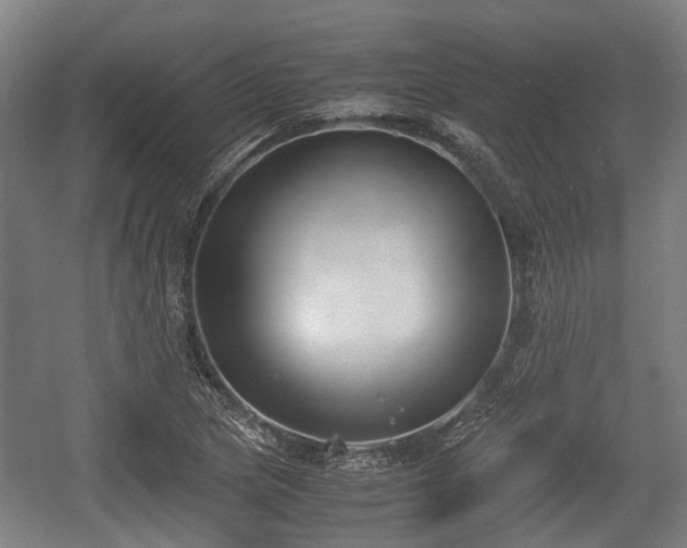 X0000057041217200509120811