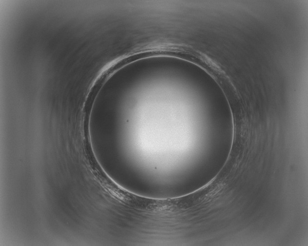 X0000057041222200509120811