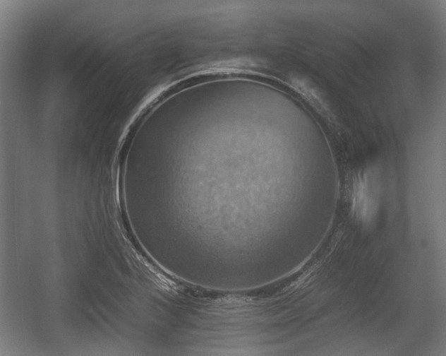 X0000057041224200509120811