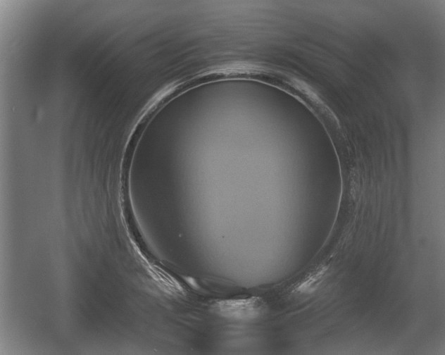 X0000057041229200509120811