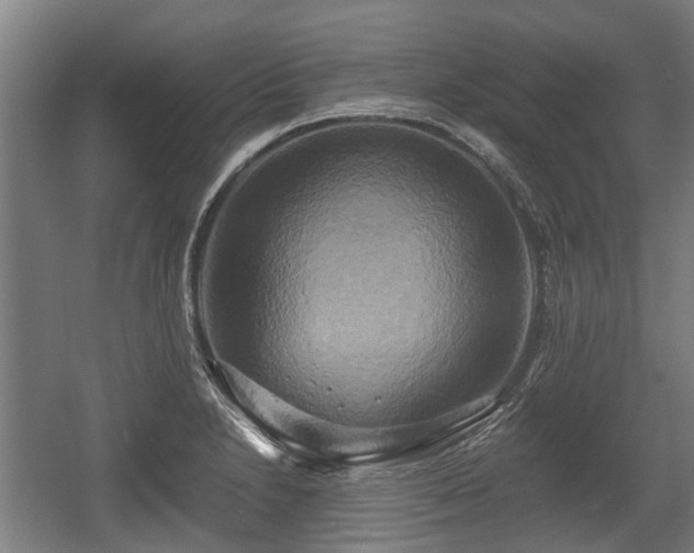 X0000057041230200509120811