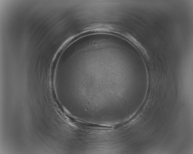 X0000057041240200509120812