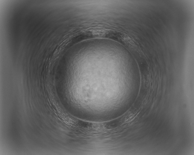 X0000057041249200509120811