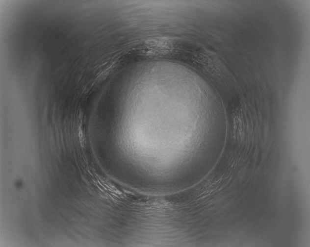 X0000057041250200509120811