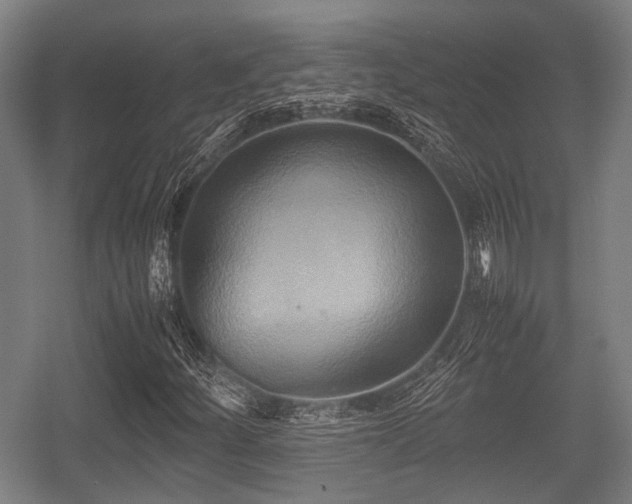 X0000057041252200509120811