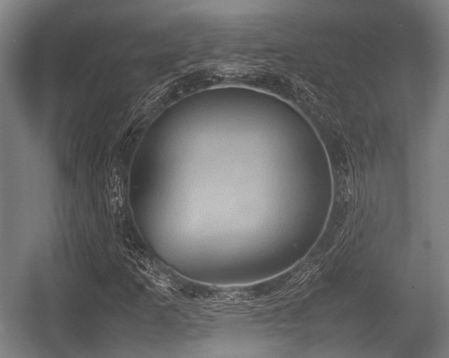 X0000057041253200509120811