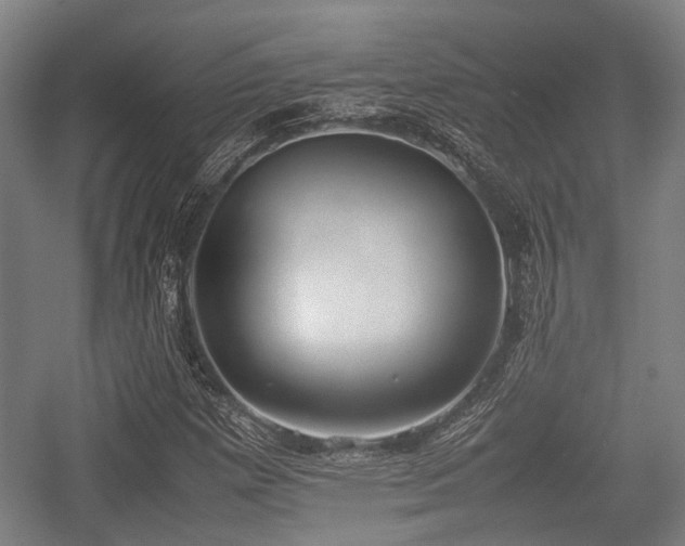 X0000057041257200509120811