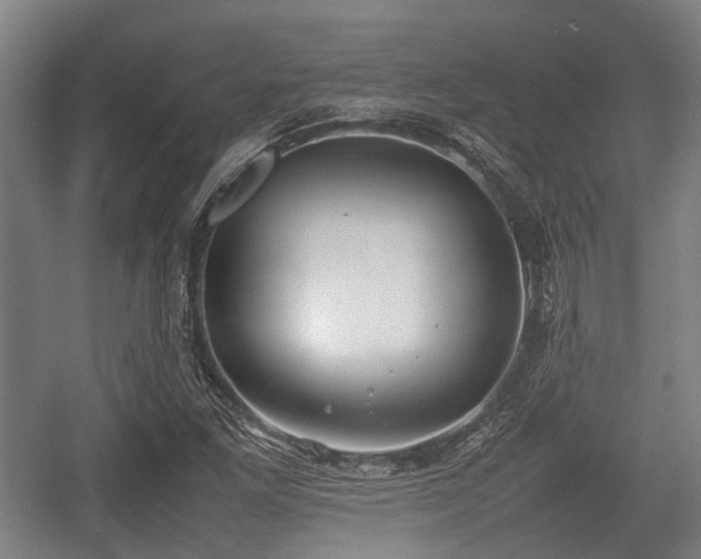 X0000057041261200509120811