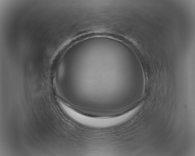 X0000057041263200509120811