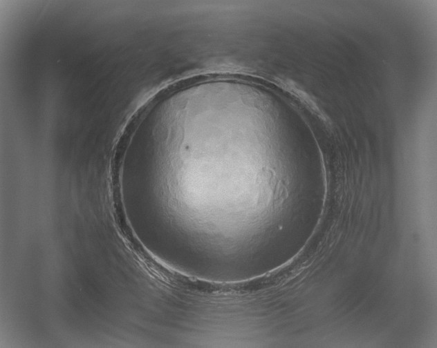 X0000057041264200509120811