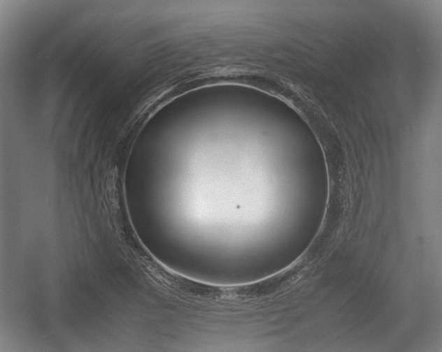 X0000057041265200509120811