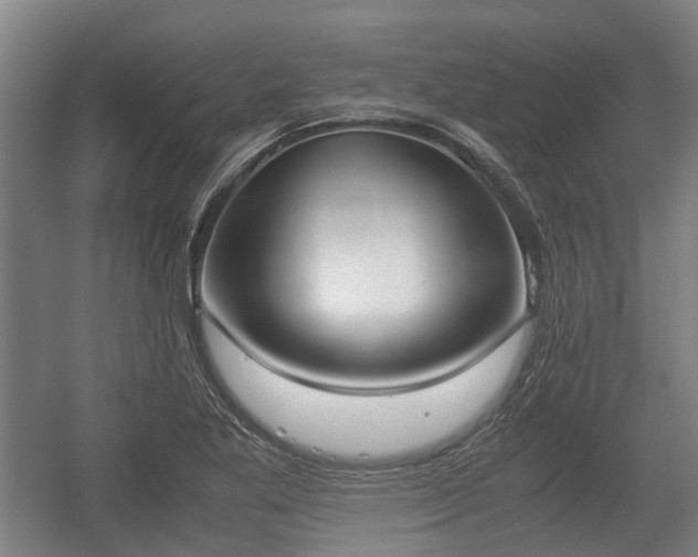 X0000057041269200509120811