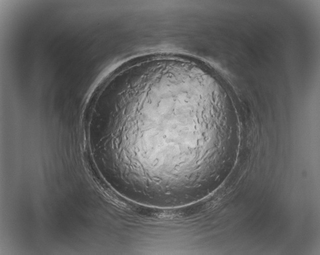 X0000057041271200509120811