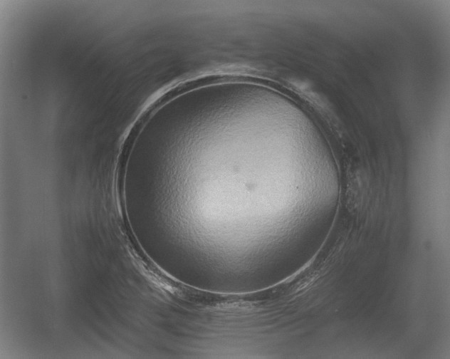 X0000057041272200509120811