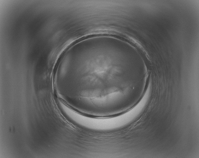 X0000057041275200509120811
