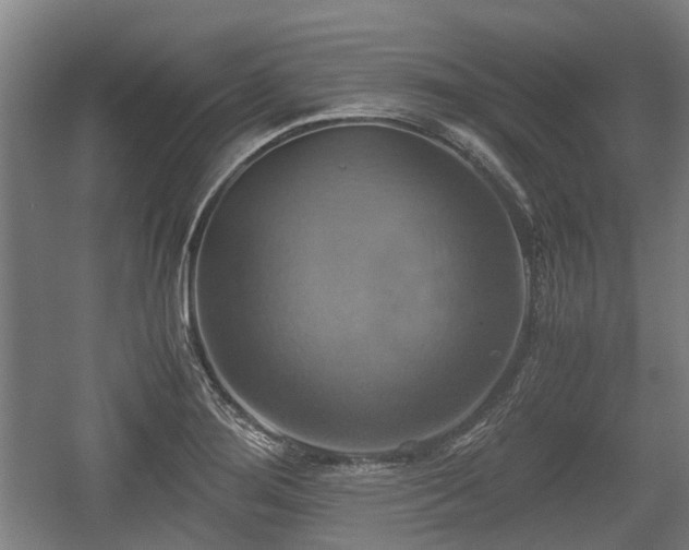 X0000057041276200509120811