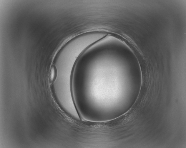 X0000057041277200509120810