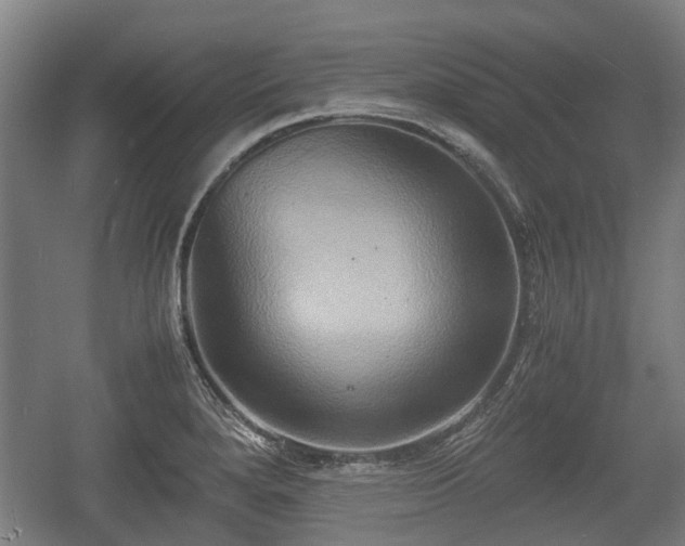 X0000057041280200509120810