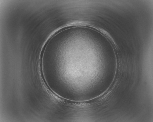 X0000057041288200509120810