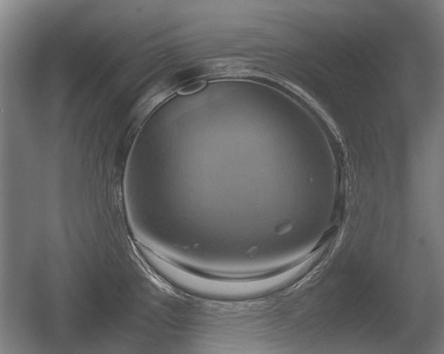 X0000057041289200509120810
