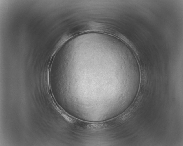 X0000057041290200509120810