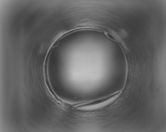 X0000057041291200509120810