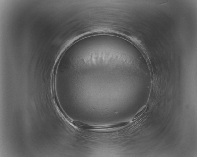 X0000057041295200509120810