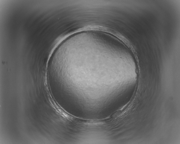 X0000057041296200509120810