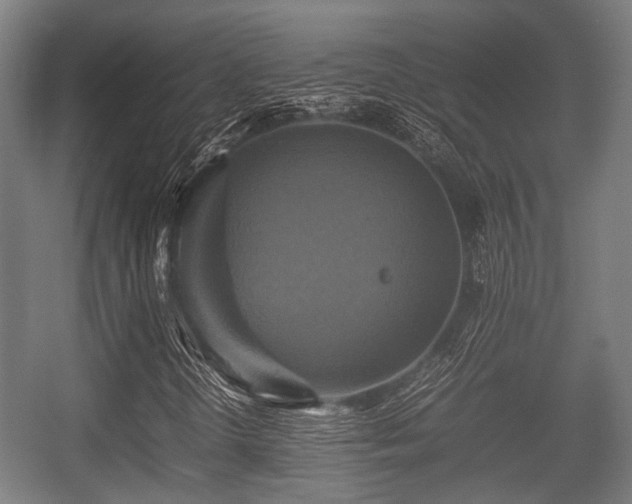 X0000057041298200509120809