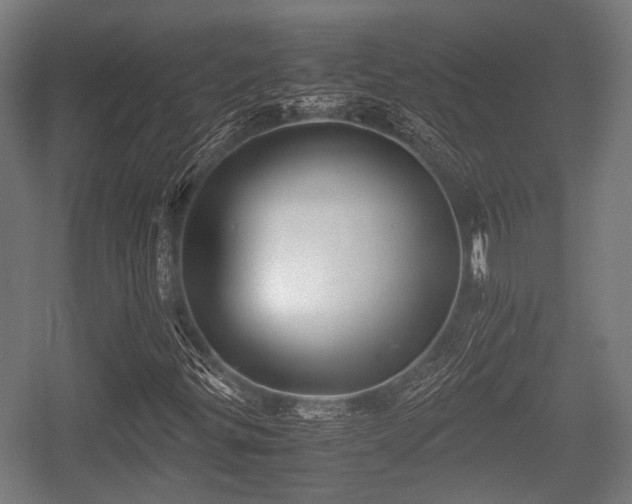 X0000057041299200509120809