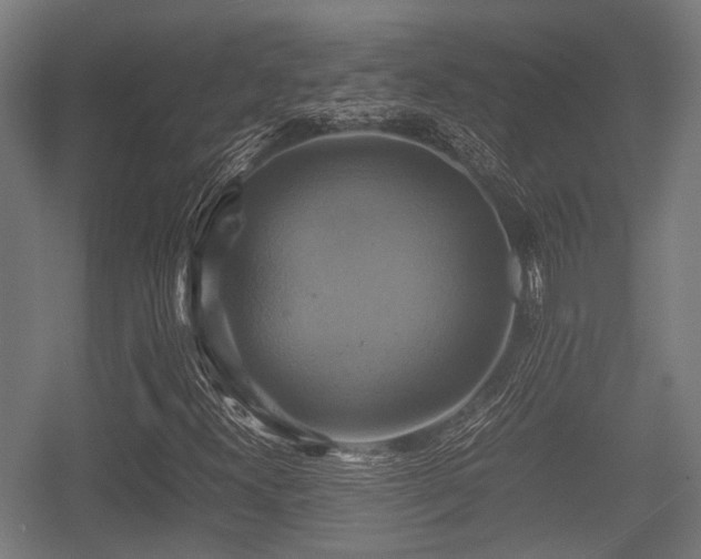 X0000057041300200509120809