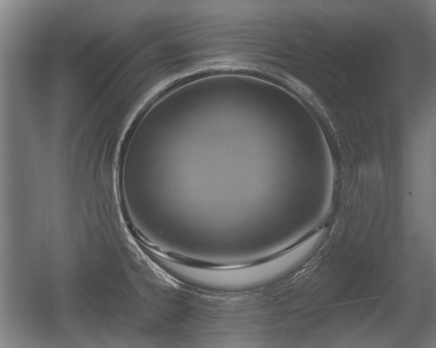 X0000057041334200509120810