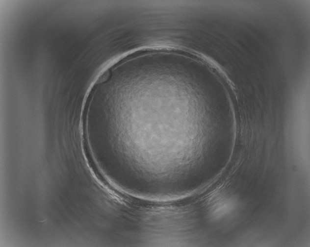 X0000057041335200509120810