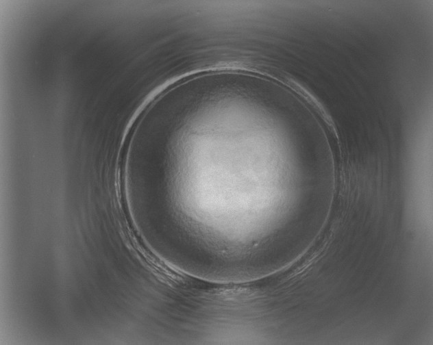 X0000057041340200509120810