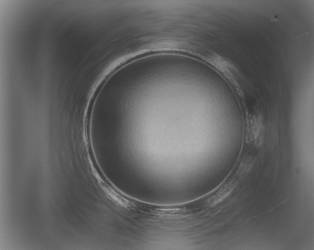 X0000057041342200509120810