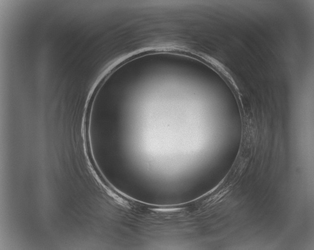 X0000057041343200509120810