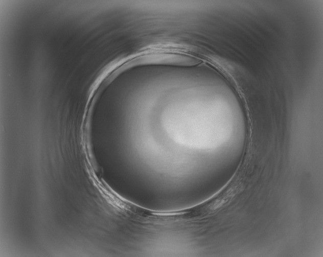 X0000057041344200509120810