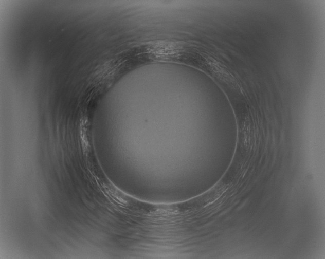 X0000057041346200509120809