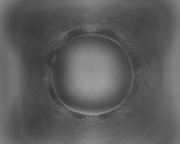X0000057041349200509120809