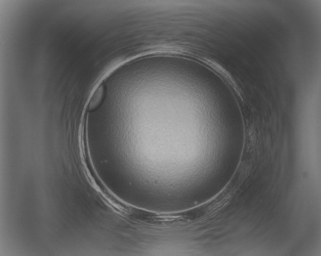X0000057041391200509120809